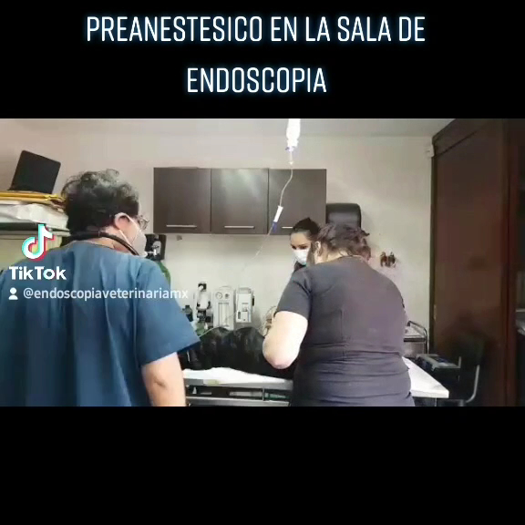Sala de endoscopia