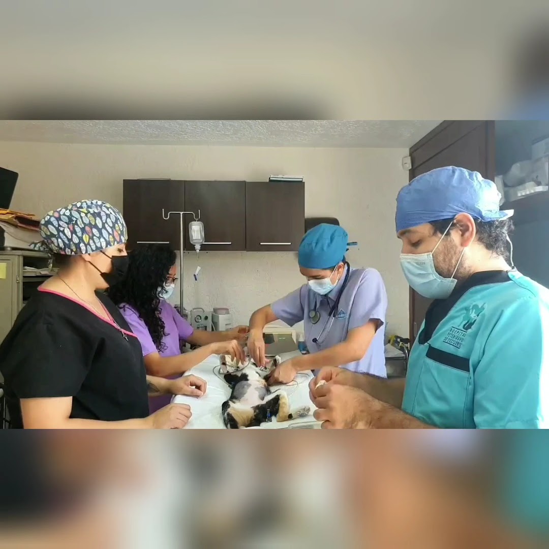 Procedimiento de endoscopia