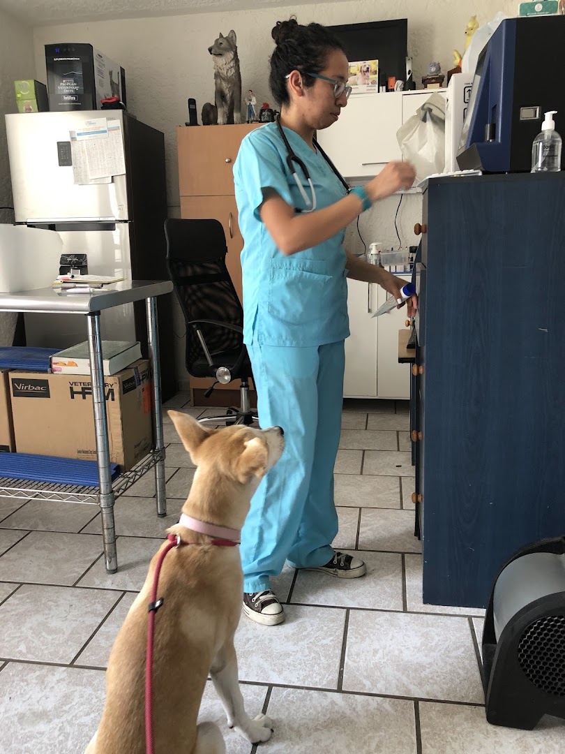 Consulta y medicina preventiva