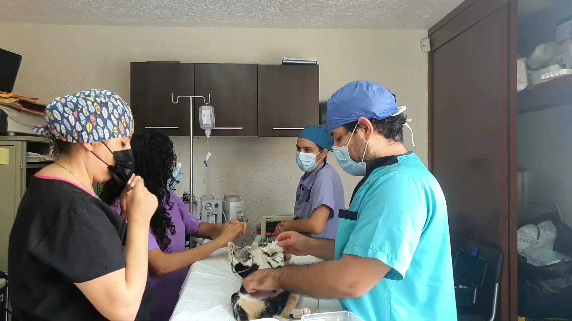 Medicina del dolor y anestesiología